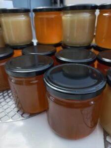 🐝 19 € au lieu de 29 € – Miel artisanal & apiculteur à Gisors (27)