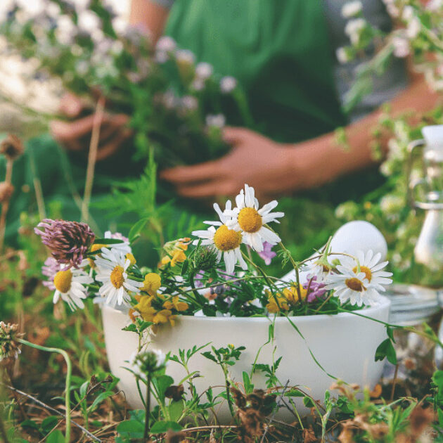 🌿 -15% de réduction : votre naturopathe et massothérapeute à Villeneuve-lès-Avignon 30