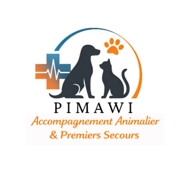 🐾 Pimawi Formations Animalières – Premiers secours canin & félin à Limoux (11)