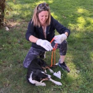 🐾 Pimawi Formations Animalières – Premiers secours canin & félin à Limoux (11)