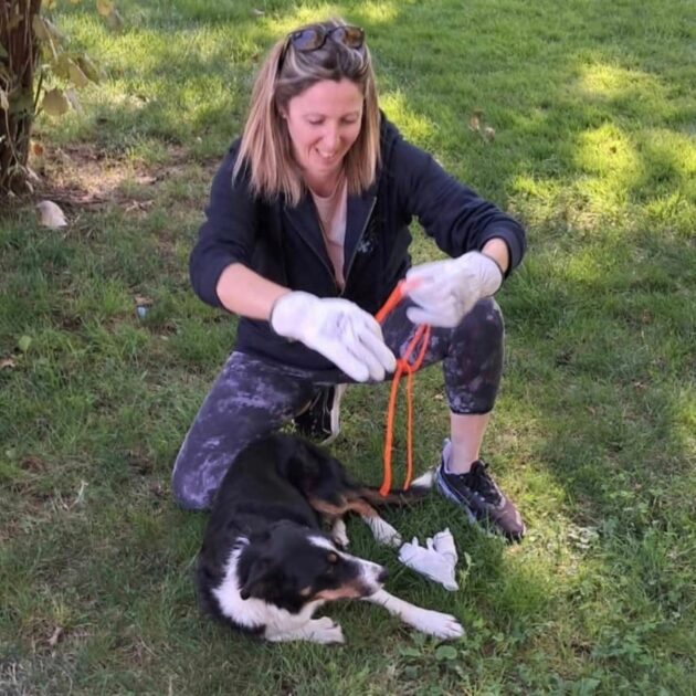 🐾 Pimawi Formations Animalières – Premiers secours canin & félin à Limoux (11)