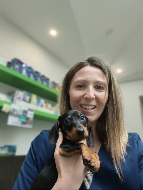 🐾 Pimawi Formations Animalières – Premiers secours canin & félin à Limoux (11)