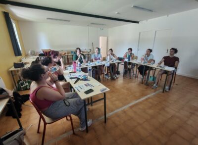 🐾 Pimawi Formations Animalières – Premiers secours canin & félin à Limoux (11)