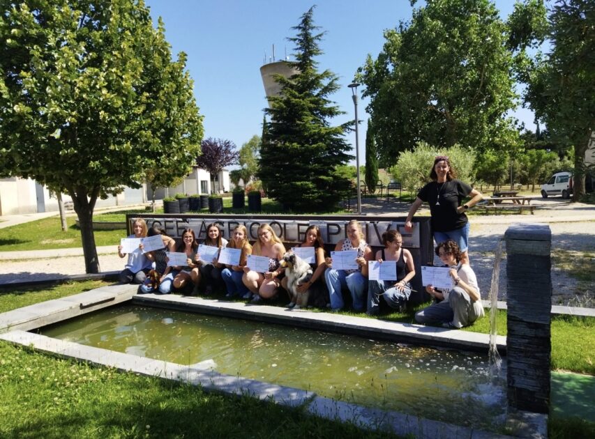 🐾 Pimawi Formations Animalières – Premiers secours canin & félin à Limoux (11)