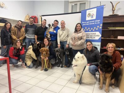 🐾 Pimawi Formations Animalières – Premiers secours canin & félin à Limoux (11)