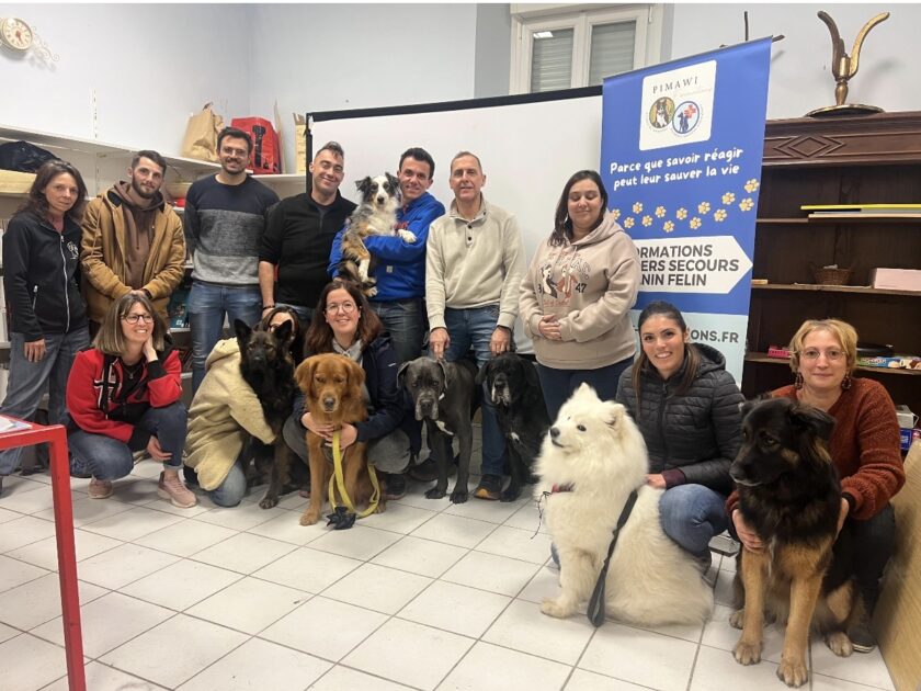 🐾 Pimawi Formations Animalières – Premiers secours canin & félin à Limoux (11)