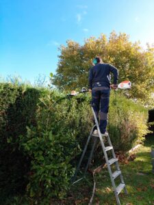 🌿 Julien Guillaume Paysagiste – Entretien et aménagement des espaces verts à Saint-Méen-le-Grand (35)