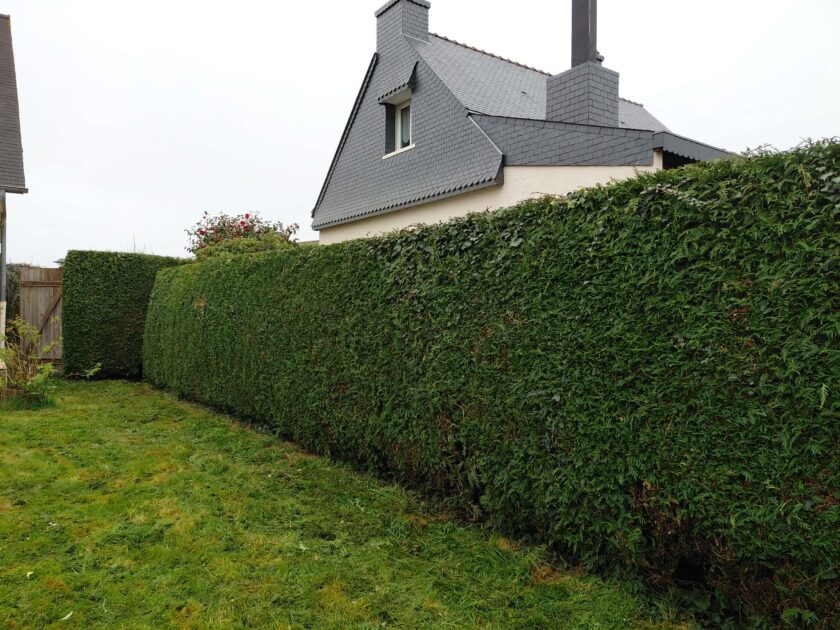 🌿 Julien Guillaume Paysagiste – Entretien et aménagement des espaces verts à Saint-Méen-le-Grand (35)