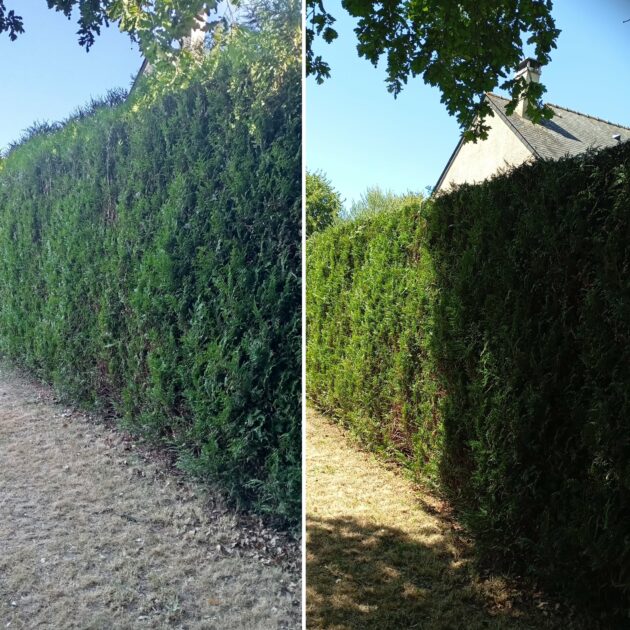 🌿 Julien Guillaume Paysagiste – Entretien et aménagement des espaces verts à Saint-Méen-le-Grand (35)