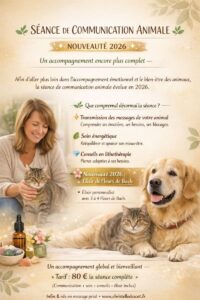 🎁 70 € – Bilan comportemental canin à Audenge (33) – Éducatrice comportementaliste