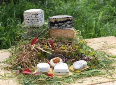 Chèque fidélité de 3 % dès 200 € d’achat, à utiliser sous 1 mois🎁 Bon plan – Produits fermiers et vente directe à la ferme à Saint-Maximin-la-Sainte-Baume (83)