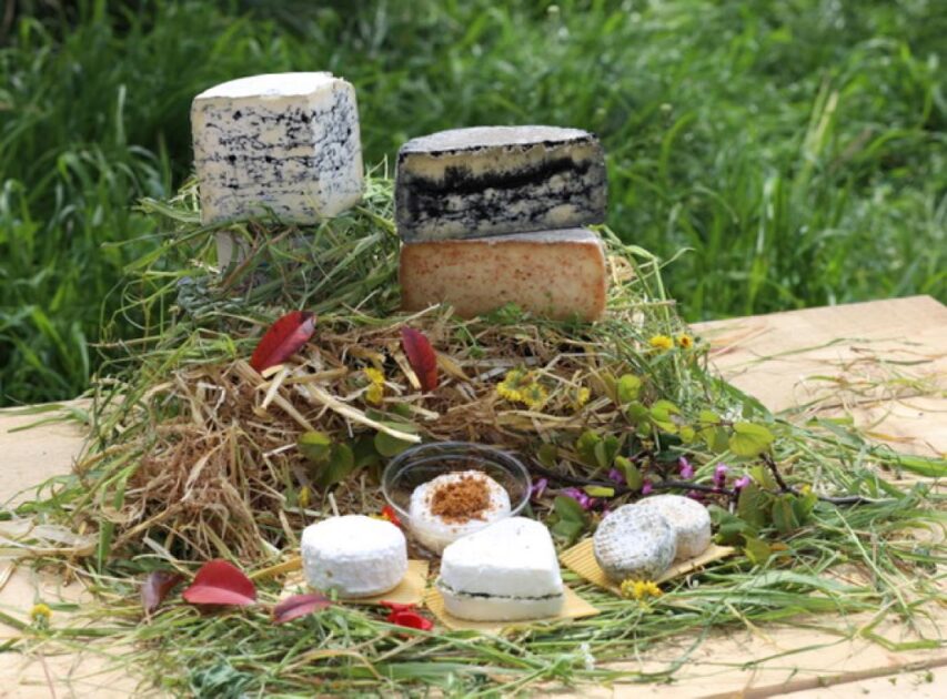 Chèque fidélité de 3 % dès 200 € d’achat, à utiliser sous 1 mois🎁 Bon plan – Produits fermiers et vente directe à la ferme à Saint-Maximin-la-Sainte-Baume (83)