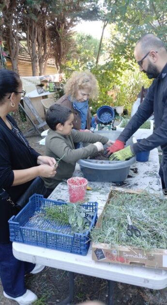 🎁 Bon plan – Activités solidaires, culturelles et nature à Vitry-sur-Seine (94)