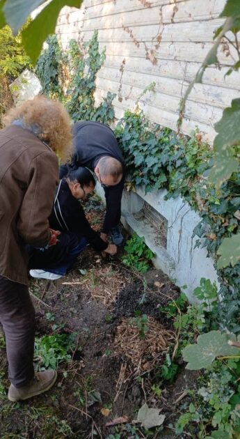 🎁 Bon plan – Activités solidaires, culturelles et nature à Vitry-sur-Seine (94)