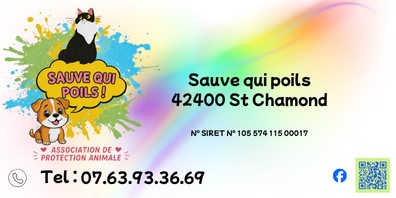🐾 Association de protection animale à Saint-Chamond (42) – Sauvetage et adoption