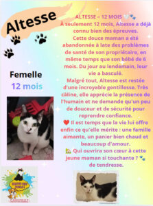 🐾 Association de protection animale à Saint-Chamond (42) – Sauvetage et adoption