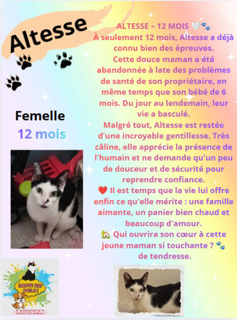 🐾 Association de protection animale à Saint-Chamond (42) – Sauvetage et adoption