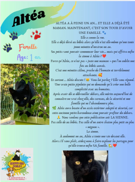 🐾 Association de protection animale à Saint-Chamond (42) – Sauvetage et adoption