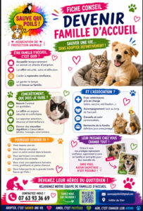 🐾 Association de protection animale à Saint-Chamond (42) – Sauvetage et adoption