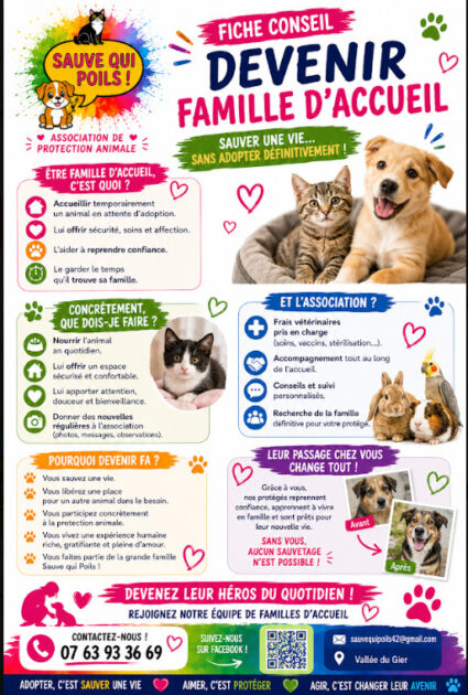 🐾 Association de protection animale à Saint-Chamond (42) – Sauvetage et adoption