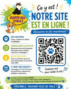 🐾 Association de protection animale à Saint-Chamond (42) – Sauvetage et adoption