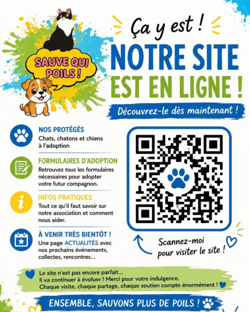 🐾 Association de protection animale à Saint-Chamond (42) – Sauvetage et adoption