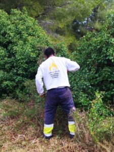 🎁 Bon plan – Package sécurité feux de forêt à Miramas (13)